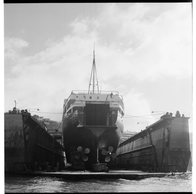 The ship Maori in the Wellington Jubilee Floating Dock, and, an albatross in Wellington Harbour