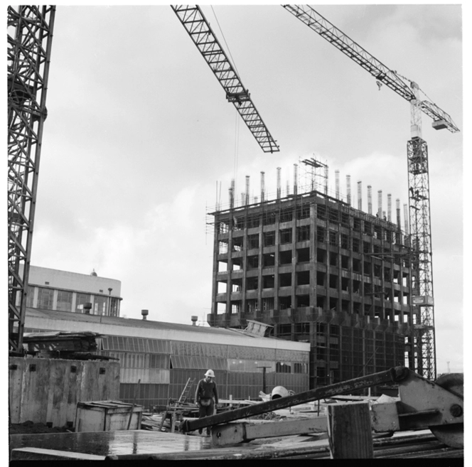 Wellington Botanical Gardens, and new high rise construction, Wellington