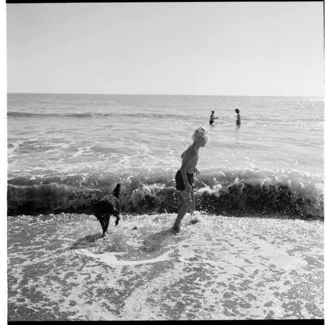 Paekakariki Beach, Kapiti