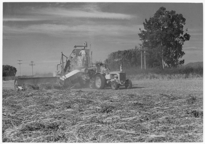 Harvesting clover seed near Nelson - Photograph taken by Geoffrey C Wood