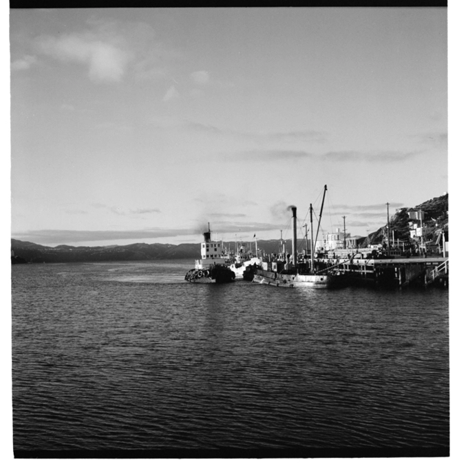 Fishing vessels at Shelly Bay wharf