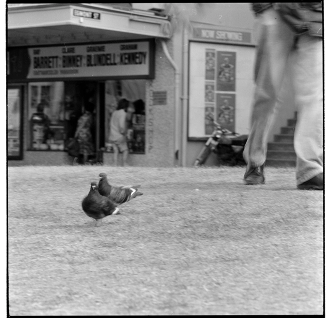 Wellington scenes