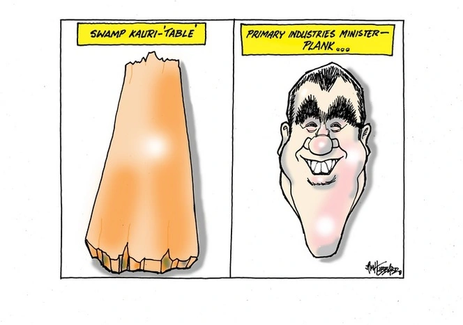 Swamp Kauri-'table'. Primary Industries Minister - Plank