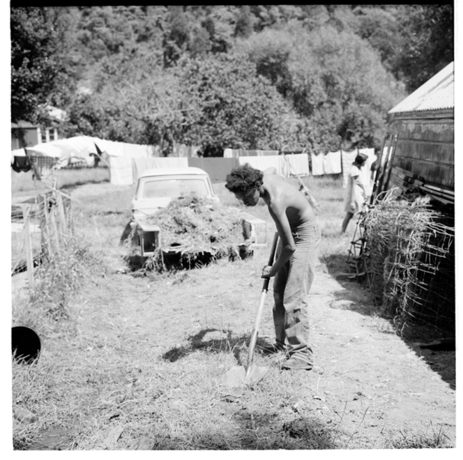 Scenes, probably at Pipiriki Pā