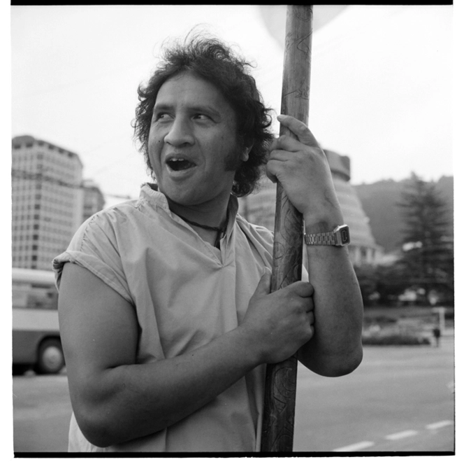 Waitangi Day protests 1981