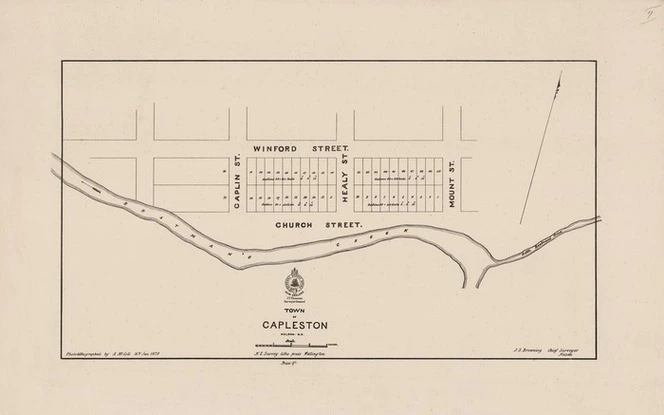 Town of Capleston, Nelson, N.Z.