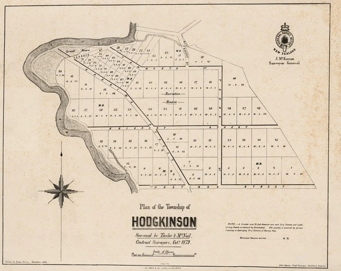 Plan of the township of Hodgkinson / surveyed by Taylor & McNeil, contract surveyors, Octr. 1879 ; drawn by James Fraser, December 1879.