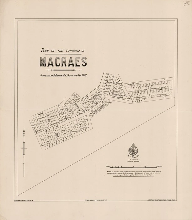 Plan of the township of Macraes / surveyed by D. Barron, dist. surveyor, Sep. 1876.