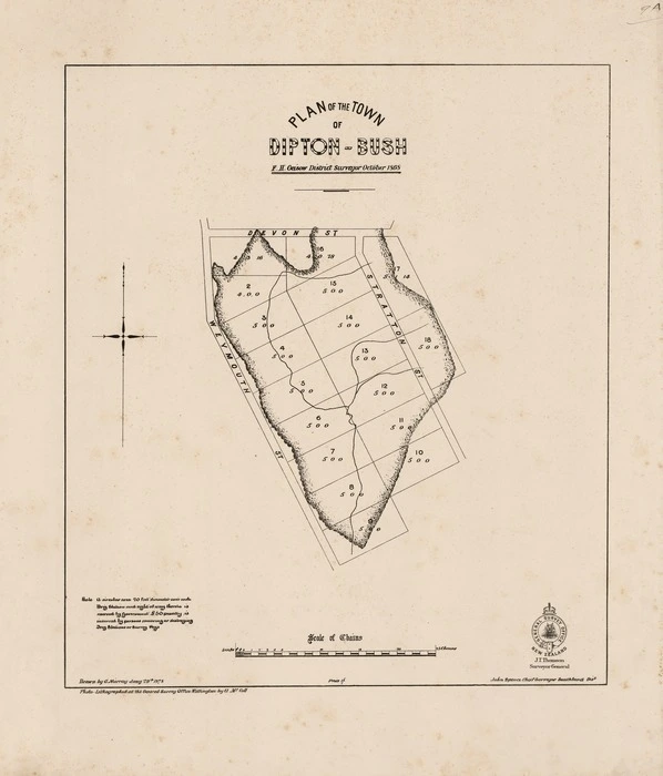 Plan of the town of Dipton-Bush [electronic resource] F.H. Geisow District Surveyor, October 1868 ; drawn by G. Murray Jany 29th 1878.
