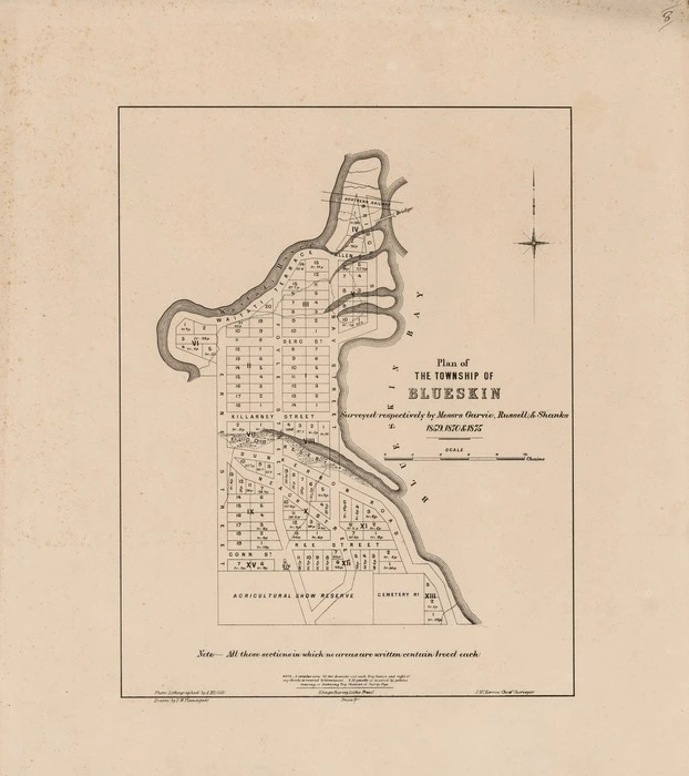 Plan of the township of Blueskin [electronic resource] surveyed respectively by Messrs. Garvie, Russell & Shanks, 1859, 1870 & 1875 ; photo-lithographed by A. McColl ; drawn by F.W. Flanagan ; J. McKerrow, chief surveyor.