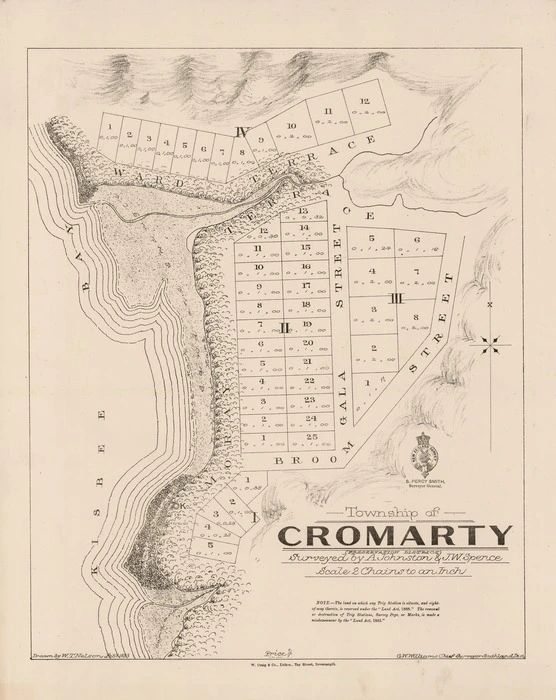 Township of Cromarty : preservation district / surveyed by A. Johnston & J.W. Spence ; drawn by W.T. Nelson.