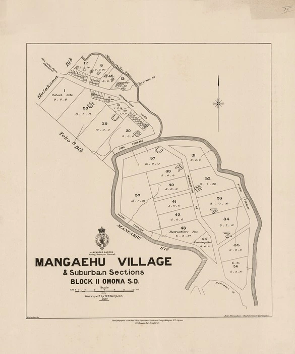 Mangaehu Village & suburban sections : block II Omona S.D. / surveyed by W.T. Morpeth, 1900 ; W. Gordon del.