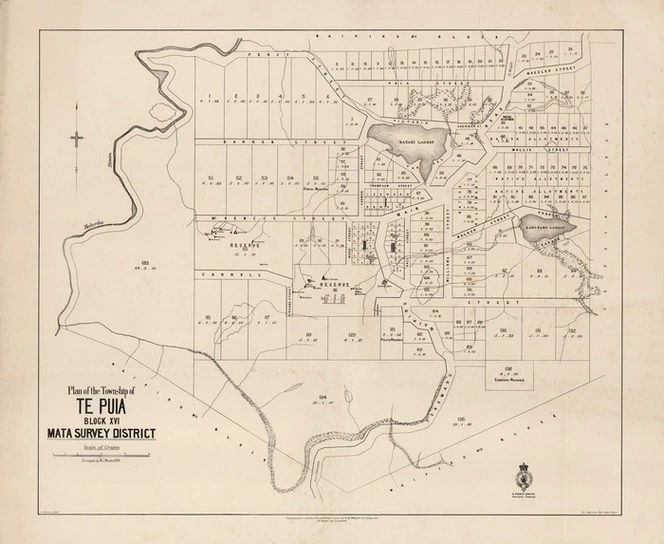 Plan of the township of Te Puia : block XVI Mata Survey District.