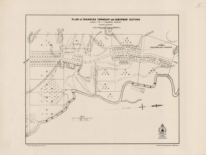 Plan of Tarawera township and suburban sections : block III Tarawera district / surveyed by W. Hallett ; photo-lithographed by A. McColl.