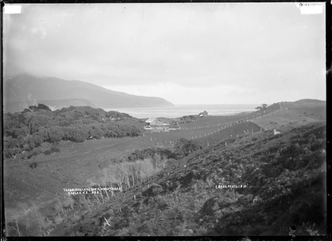 Scene including Te Akau station shearing shed, and Woody Head (also known as Karioi), near Raglan - Photograph taken by Gilmour Brothers