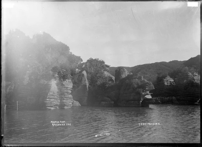 Pukeko Point, Raglan County, 1910 - Photograph taken by Gilmour Brothers