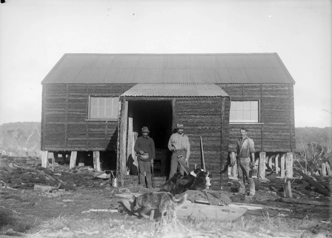 Harry Blyth's woolshed, Chatham Islands