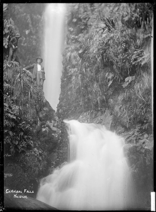 Cannibal Falls, near Raglan