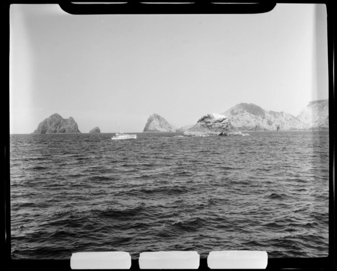 Cape Brett, Bay of Islands, Far North District, Northland