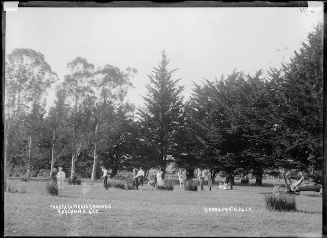 Paritata picnic grounds, Raglan - Photograph taken by Gilmour Brothers