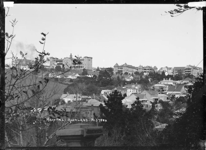 View of Auckland Hospital