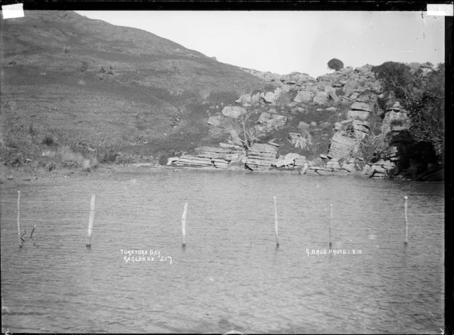 Tokatoka Bay, Raglan Harbour, 1910 - Photograph taken by Gilmour Brothers