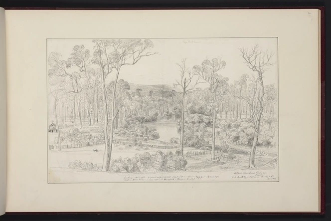 Guérard, Eugen von, 1811-1901: Mitchell River from Lindenaw [Lindenow] Station. Gippsland. J.D. Smith Esqr. Donnerstag, 3. Januar 1861