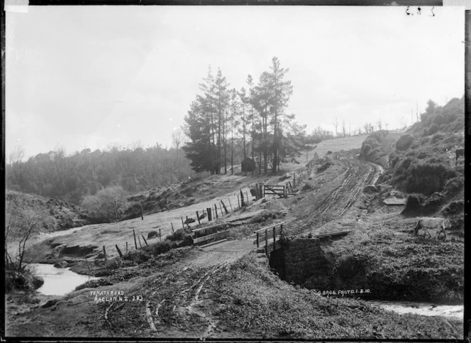 Te Mata Road, near Raglan, 1910 - Photograph taken by Gilmour Brothers