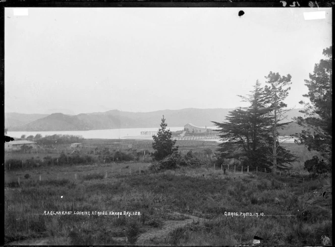 Raglan East, looking across Awaro Bay, 1910 - Photograph taken by Gilmour Brothers