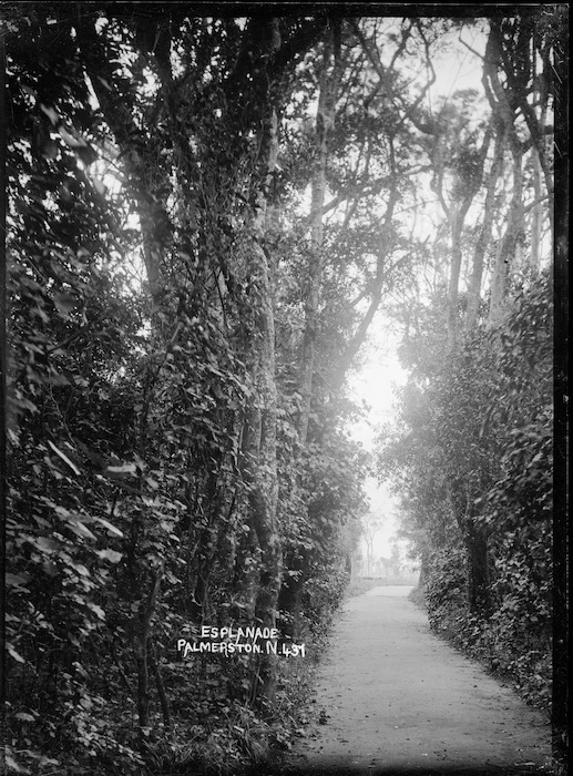 The Esplanade, Palmerston North