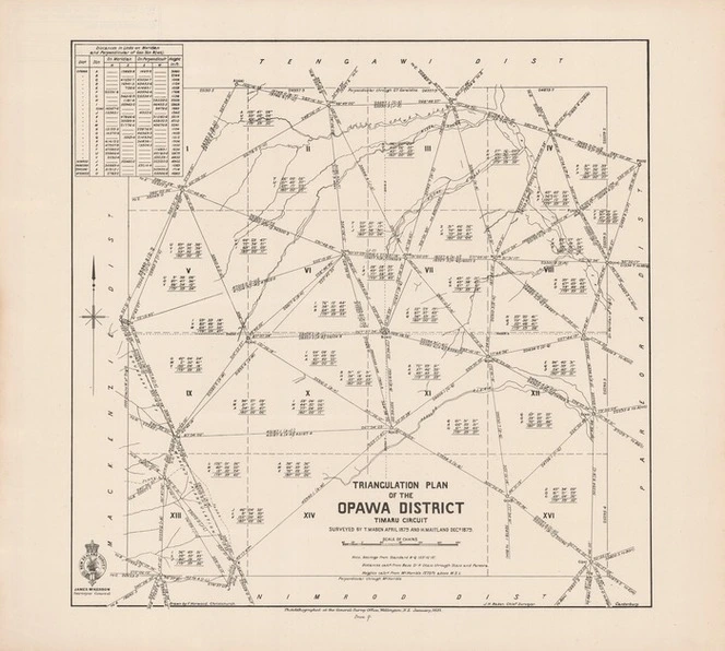 Triangulation plan of the Opawa District : Timaru District / surveyed by T. Maben April 1879 and H. Maitland Decr 1879 ; drawn by F. Horwood, Christchurch.