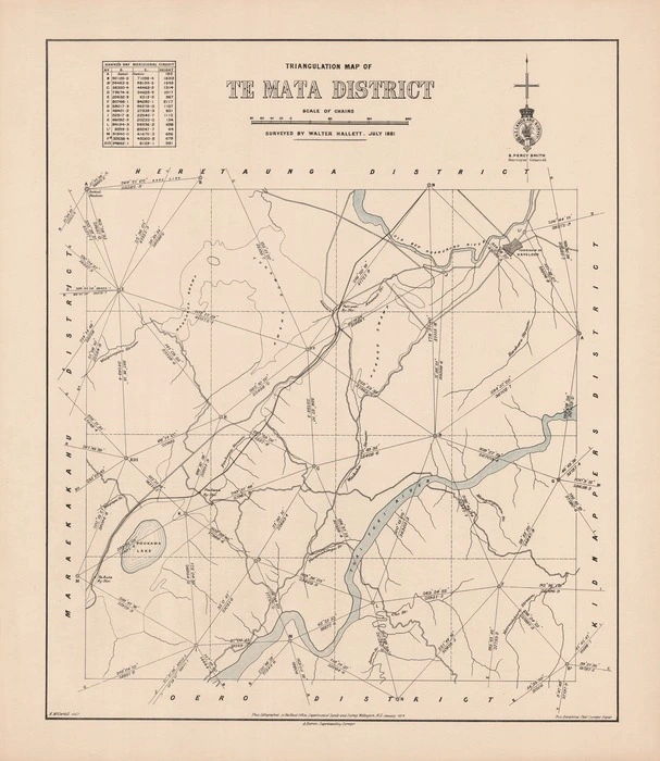 Triangulation map of Te Mata District / surveyed by Walter Hallett. July 1881 ; H. McCardell delt.