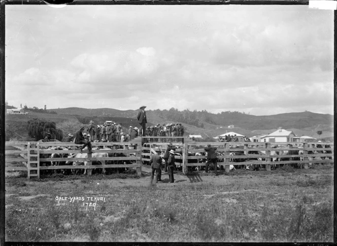 View of farmers at a sale of cattle at the saleyards at Te Kuiti