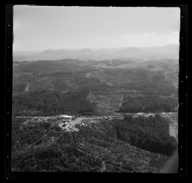 Topuni Forests, rural Northland