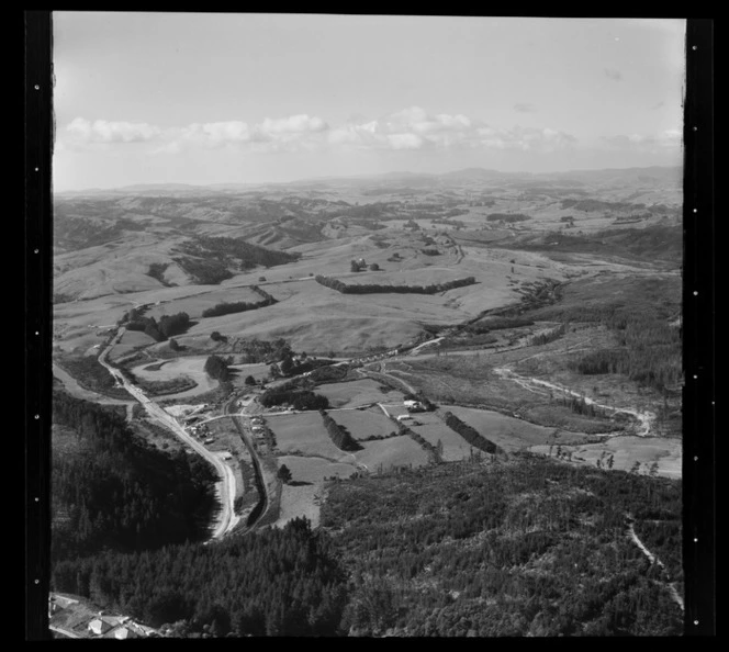 Topuni Forests, rural Northland