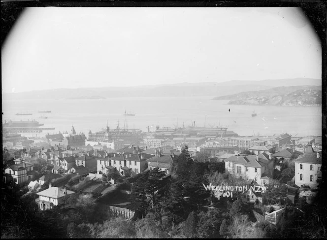 View of Wellington taken from Kelburn looking east