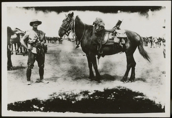 Soldier with troop horse saddled up for a march