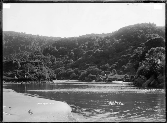 Te Rimu Creek, Raglan, 1910 - Photograph taken by Gilmour Brothers