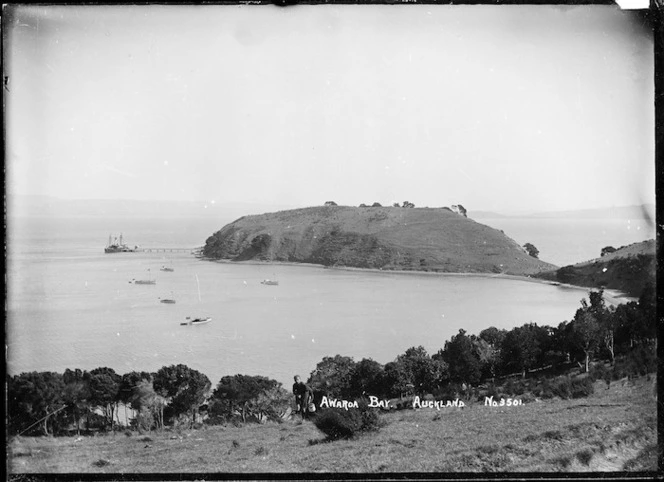 View of the headland and wharf, Awaawaroa Bay, Waiheke Island