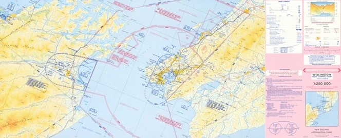 Wellington visual terminal chart.