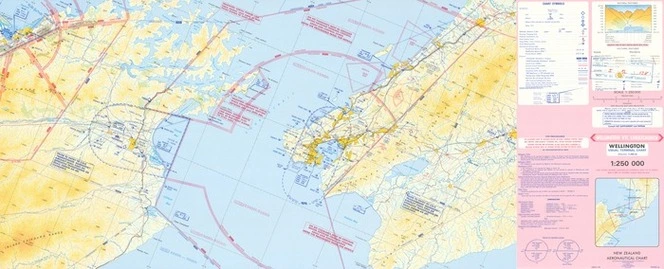 Wellington visual terminal chart.