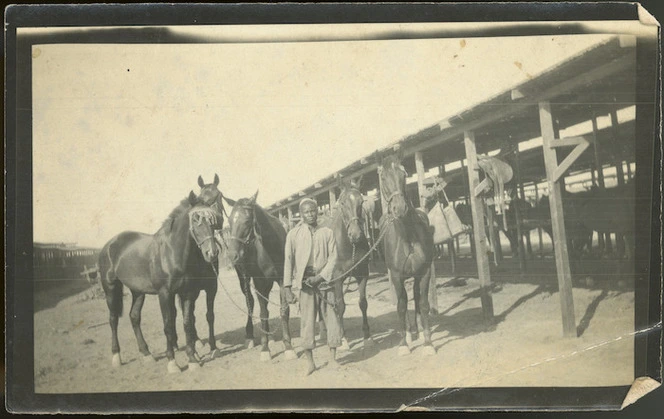 Five horses and their keeper