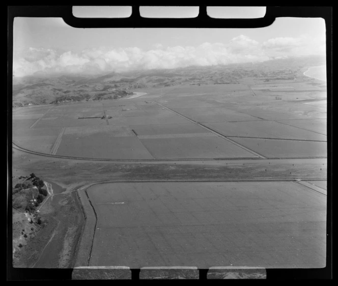 Near harbour farmlands in the Hawke's Bay Region