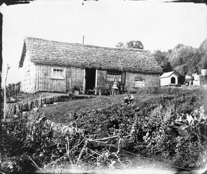 Raupo house near New Plymouth