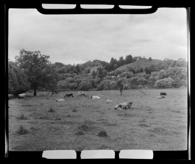 Whanganui River, rural area near Taumaranui and Aukopane, Manawatu-Wanganui Region