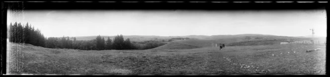 Farm scene Southland