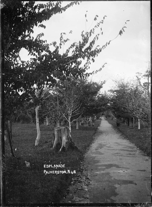 The Esplanade, Palmerston North