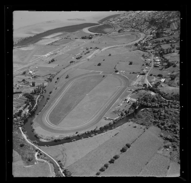 Thames Racecourse, Waikato Region