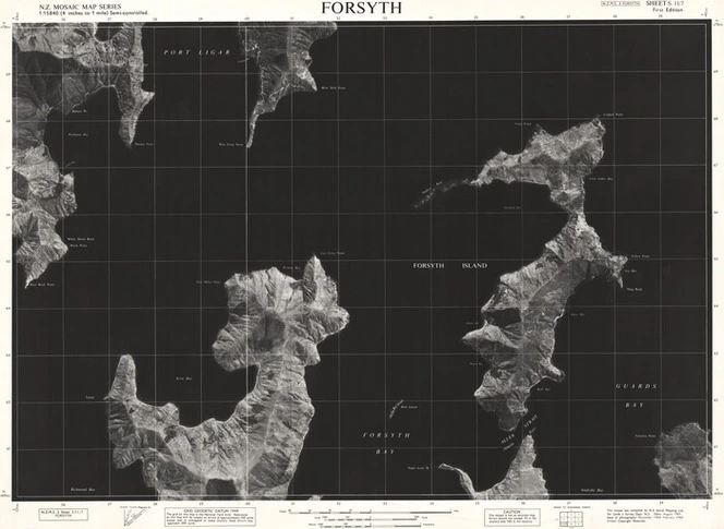 Forsyth / this mosaic was compiled by N.Z. Aerial Mapping Ltd. for Lands & Survey Dept., N.Z.