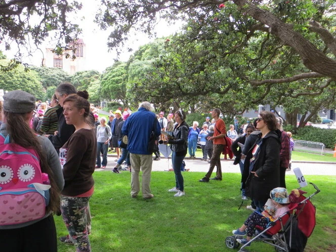 Photographs of the Women's March on Washington - Wellington, Aotearoa New Zealand